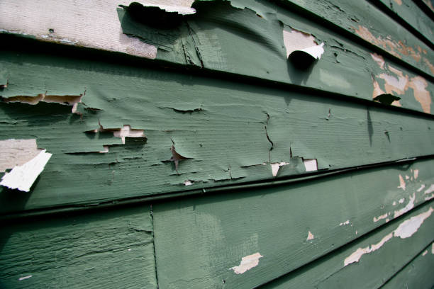 Best Construction Debris Removal  in Crestview, FL